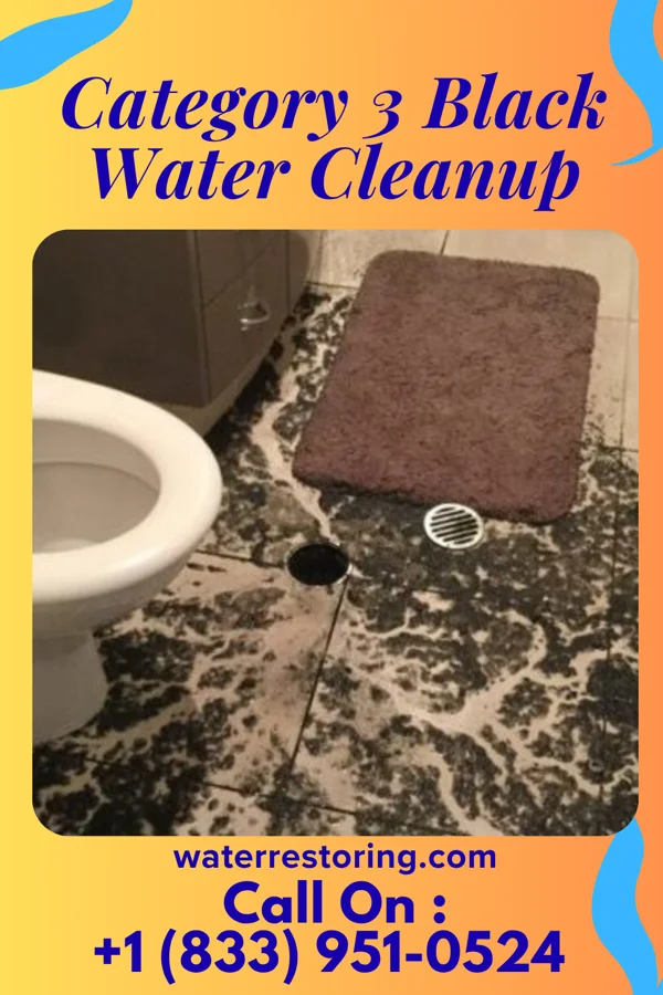 Category 3 Black Water Cleanup in Wiota, WI