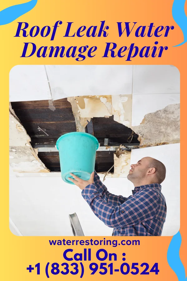Roof Leak Water Damage Repair in Wiota, WI