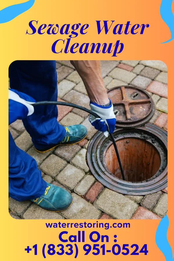 Sewage Water Cleanup in Wiota, WI