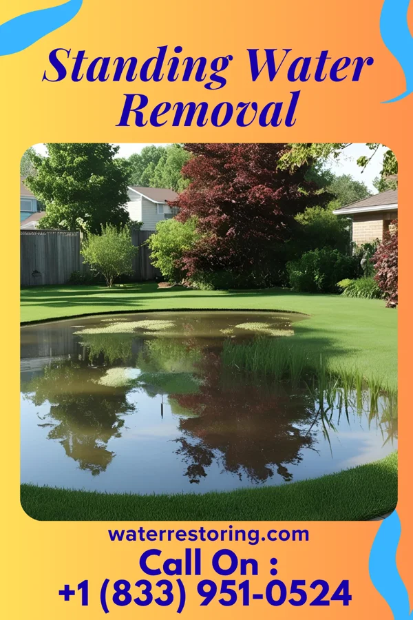 Standing Water Removal in Wiota, WI
